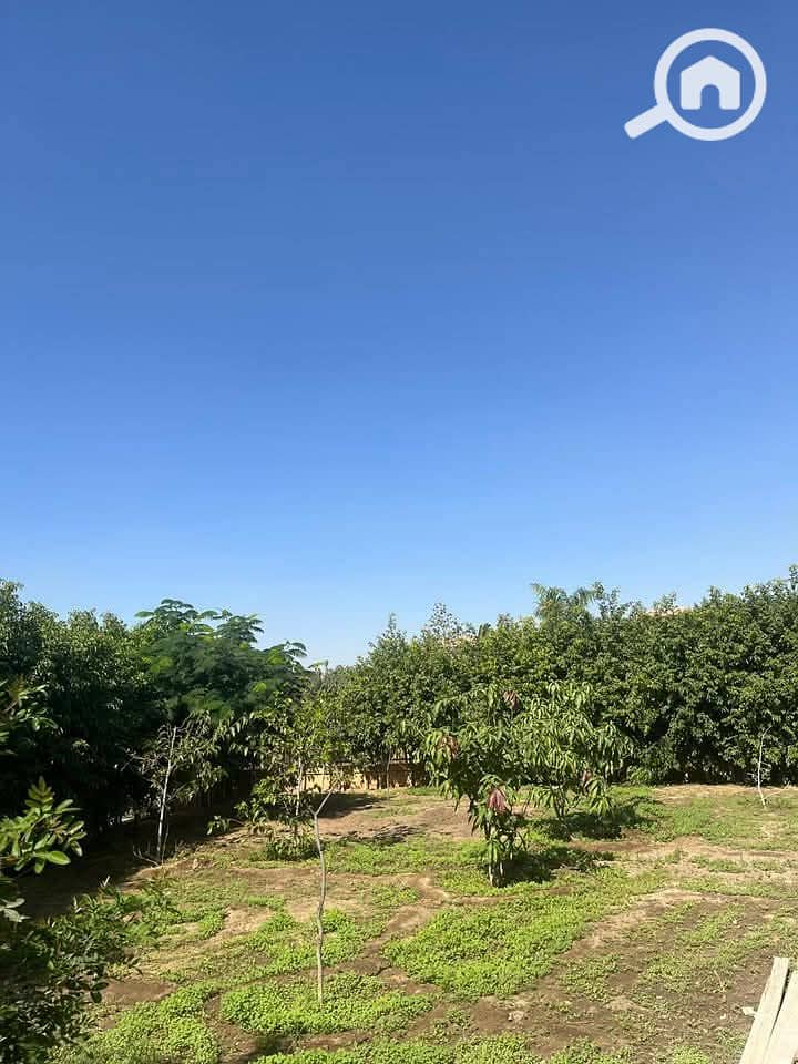 2 IMG-20251030-WA0041. jpg