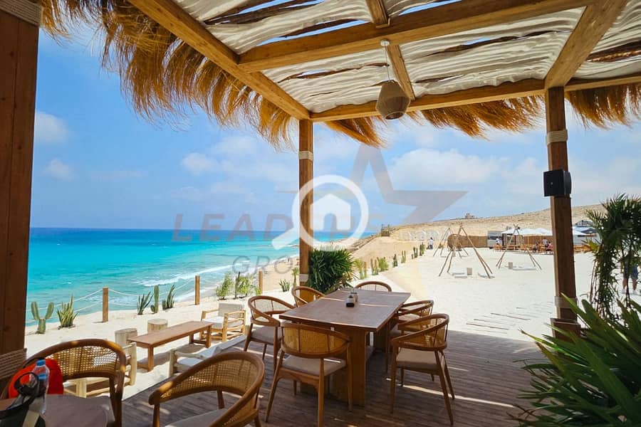 1 (1). jpg 1 (1). jpg