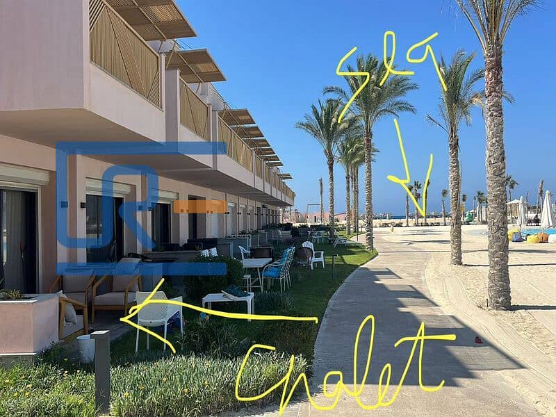 8 PHOTO-2025-10-29-16-26-04. jpg