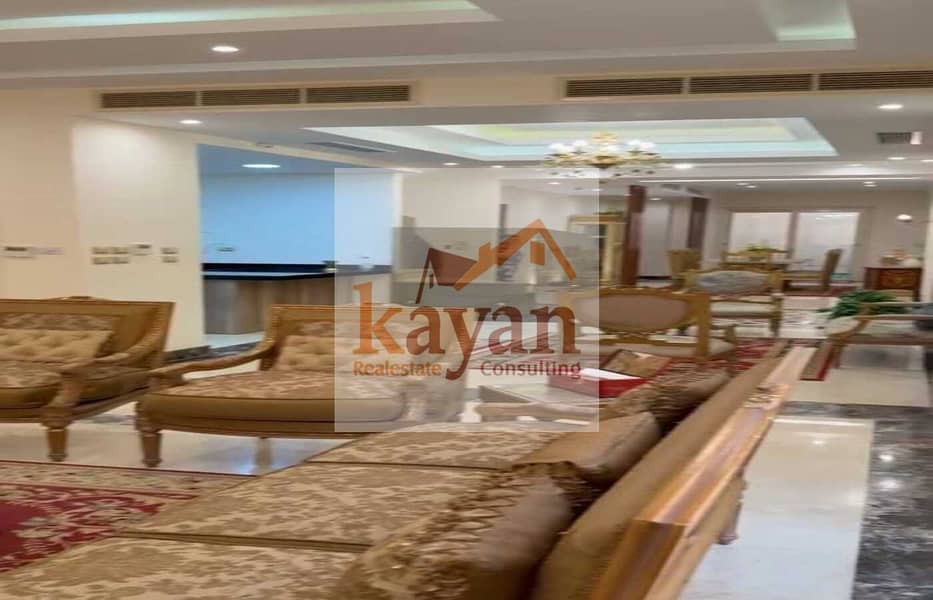 3 1d056c61-ec96-4ed4-880f-a1695b7c6487. jpg