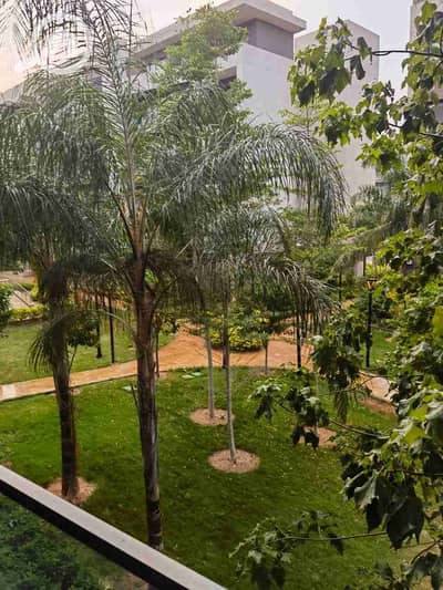 1 Bedroom Apartment for Rent in Madinaty, Cairo - 1000390415. jpg