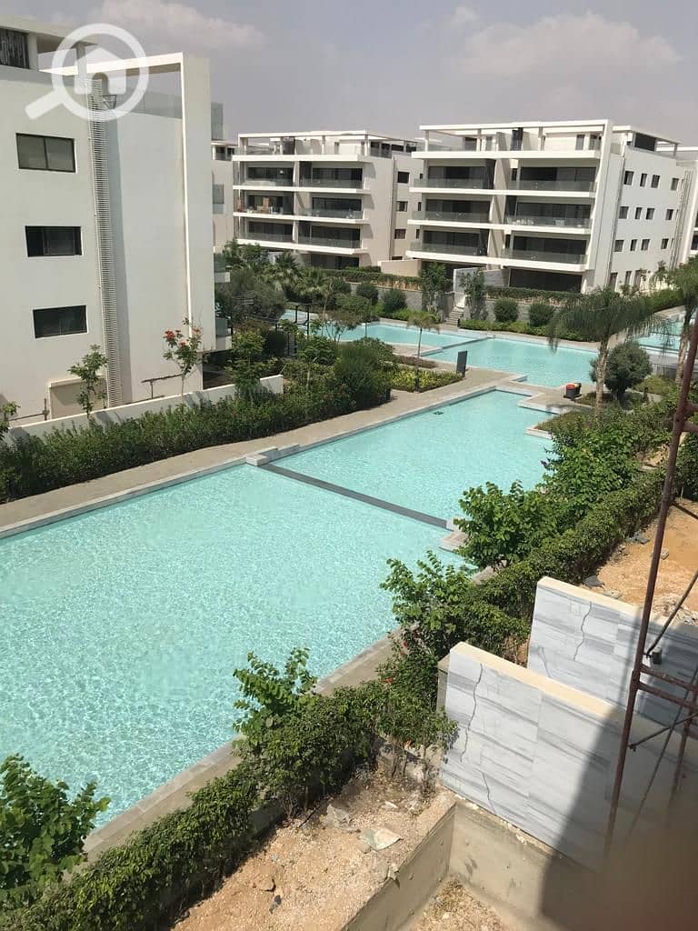 11 bf405b56-4457-40d4-a913-164ec0092e7a. jpg