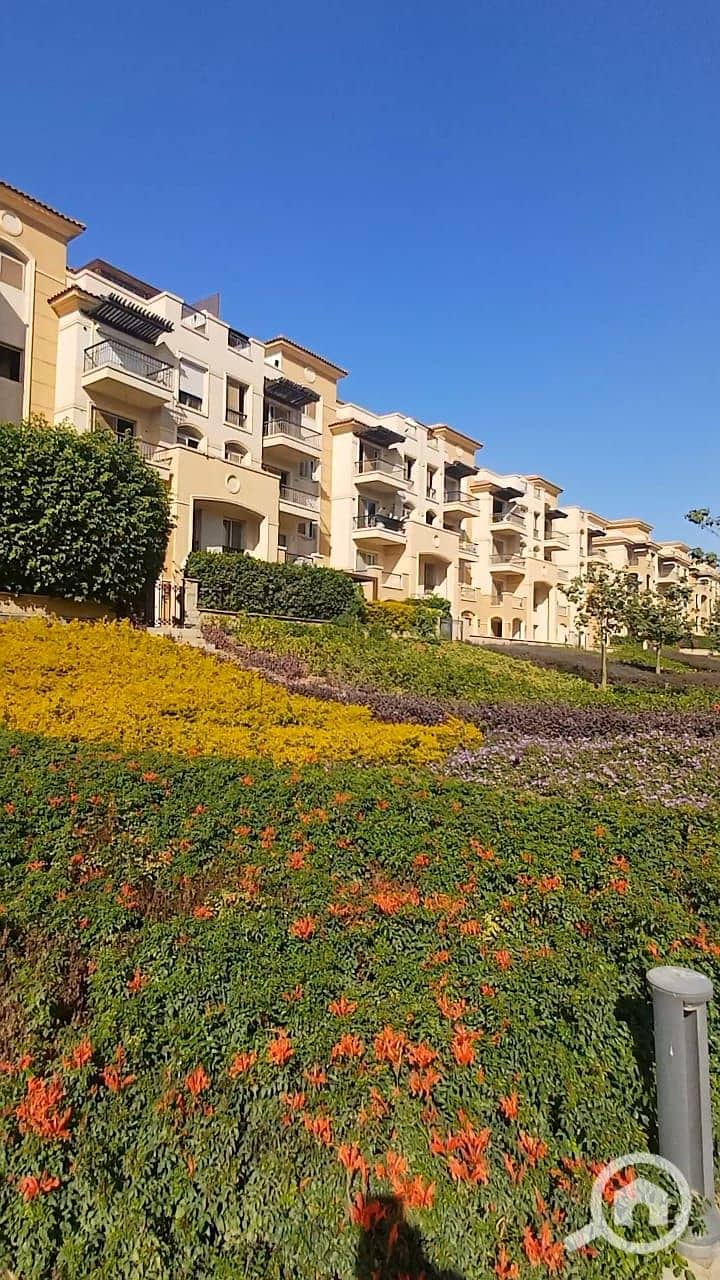 4 352a8592-3875-43e7-962e-33487b8b6233. jpg