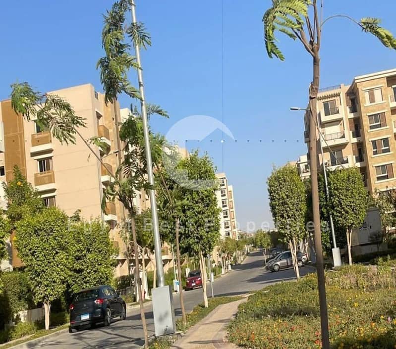 4 ab3fed99-379c-4ffd-b72f-988a03f6cfe5. jpeg