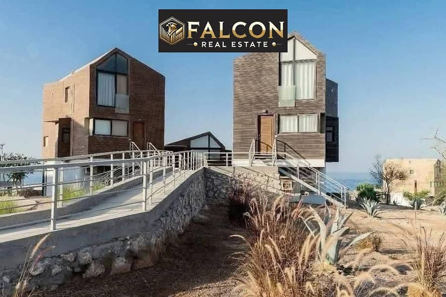 7 99e67525-b6f1-4e56-8598-ef0563318c04. jpeg