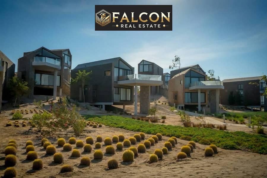 8 3d3bc354-24c7-40ba-9579-5bcdb7d32547. jpeg