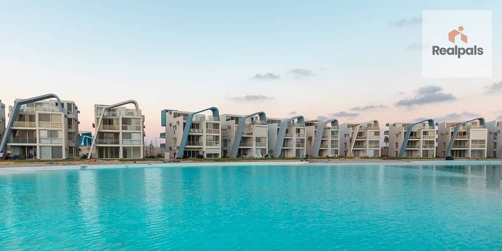 8 فوكا-باي-شركة-تطوير-مصر. jpg