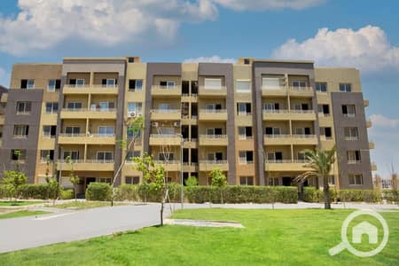 3 Bedroom Apartment for Sale in New Cairo, Cairo - WhatsApp Image 2025-06-26 at 11.20. 41 AM. jpeg 3 Bedroom Apartment for Sale in New Cairo, Cairo - WhatsApp Image 2025-06-26 at 11.20. 41 AM. jpeg