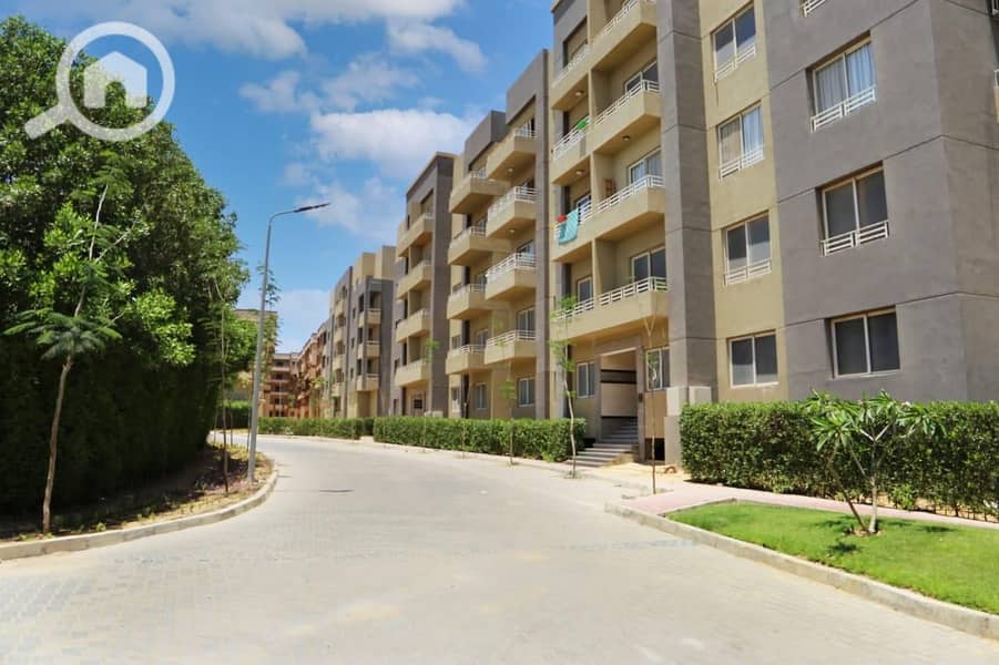 3 WhatsApp Image 2025-06-26 at 11.20. 41 AM (1). jpeg