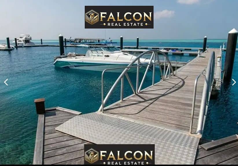 7 2b5ced14-419e-4067-b832-01a87d67b75d. jpg