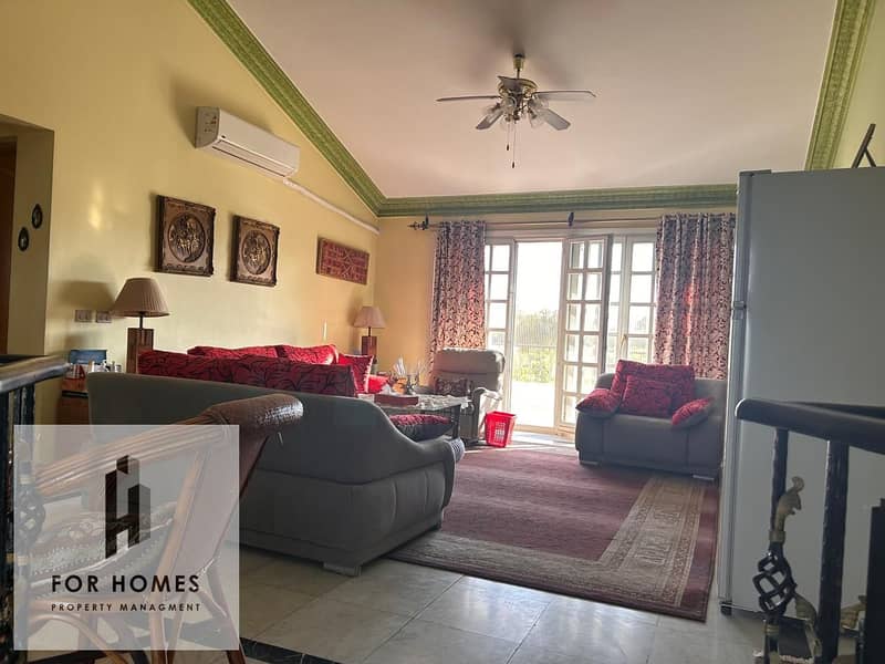 4 WhatsApp Image 2025-10-19 at 8.53. 13 PM. jpeg