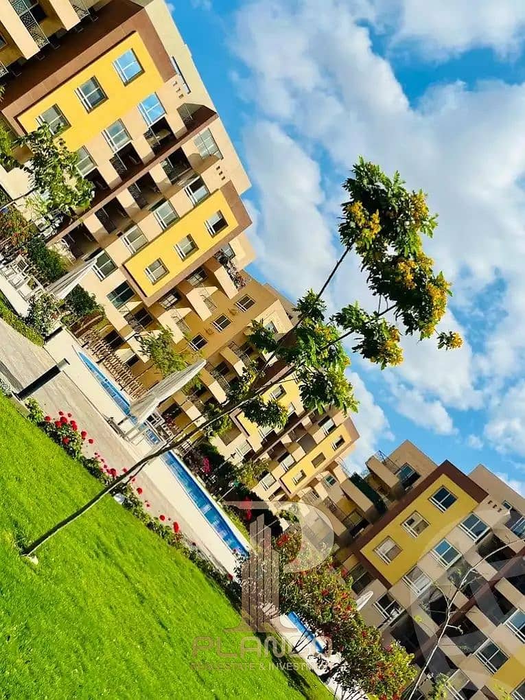 4 64ef1b8303e8b887559331. jpg