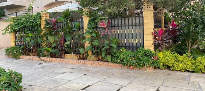 فلیٹ 3 غرف نوم للبيع في القاهرة الجديدة، القاهرة - 419772b9-7bc2-433d-ba92-aab0036eb584 (1). jpg فلیٹ 3 غرف نوم للبيع في القاهرة الجديدة، القاهرة - 419772b9-7bc2-433d-ba92-aab0036eb584 (1). jpg