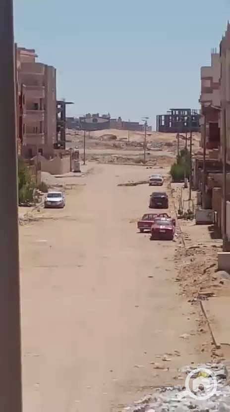 8 WhatsApp Image 2025-10-30 at 1.20. 15 PM (1). jpeg