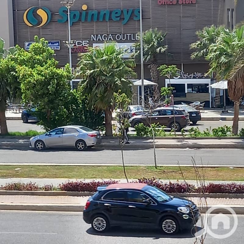 3 WhatsApp Image 2025-10-13 at 11.27. 26_ab293878. jpg