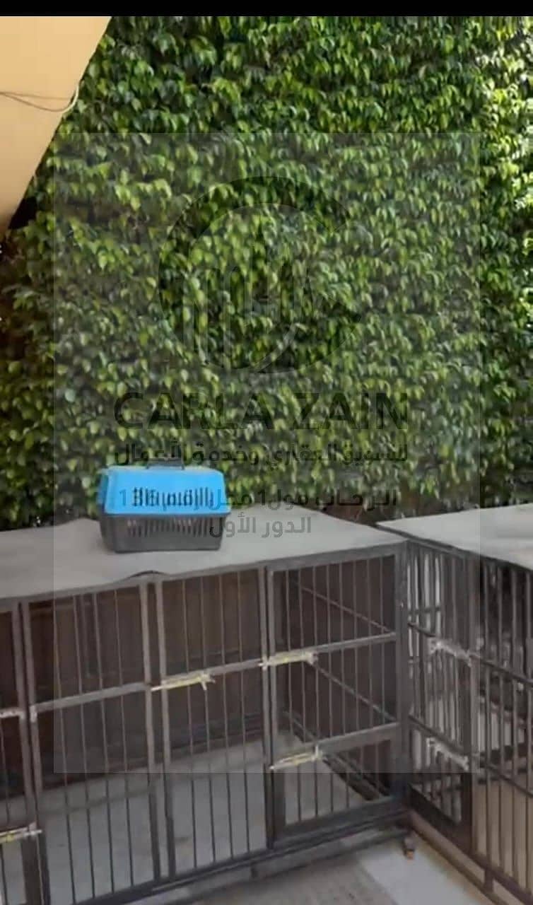 3 WhatsApp Image 2025-10-30 at 1.13. 39 PM. jpeg