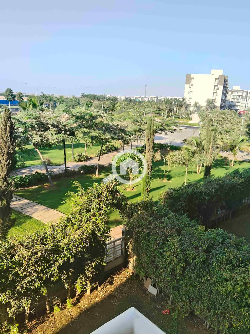 1000463196. jpg 1000463196. jpg