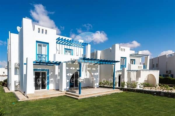 3 91243742-9c5f-4962-ac92-898d3382265e. jpg