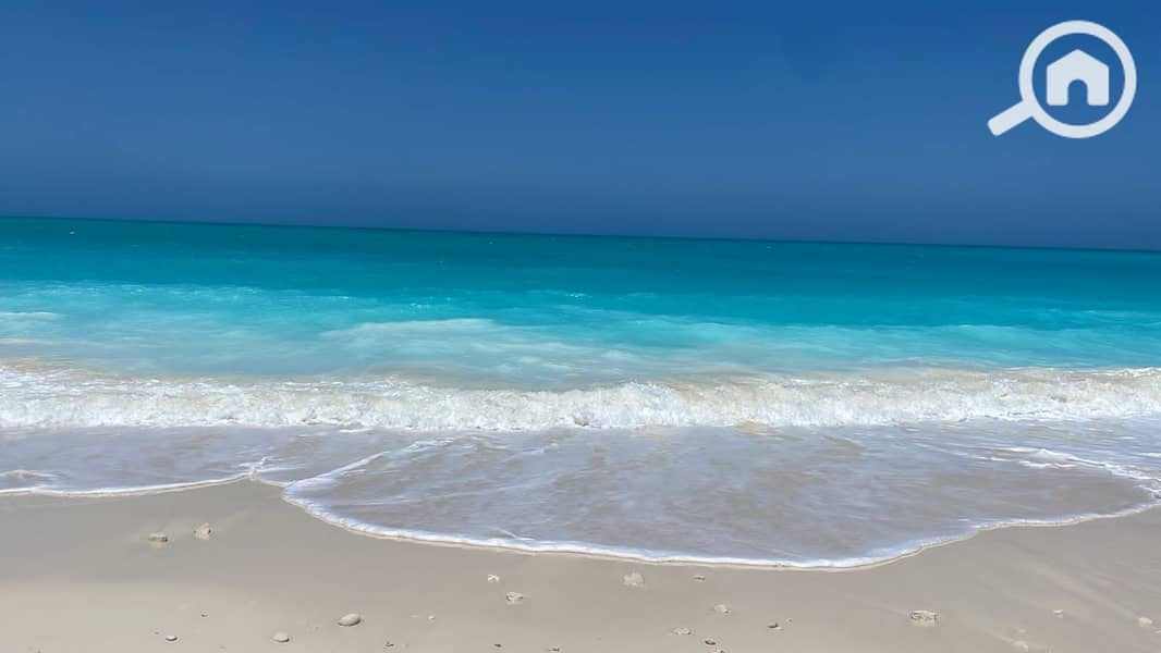 7 صورة واتساب بتاريخ 2025-09-22 في 13.41. 54_d28c9d44. jpg