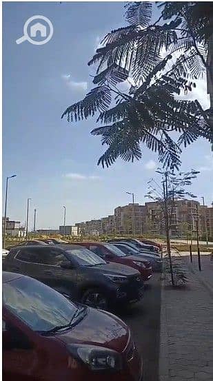 7 WhatsApp Image 2025-10-27 at 14.33. 37 (2). jpeg