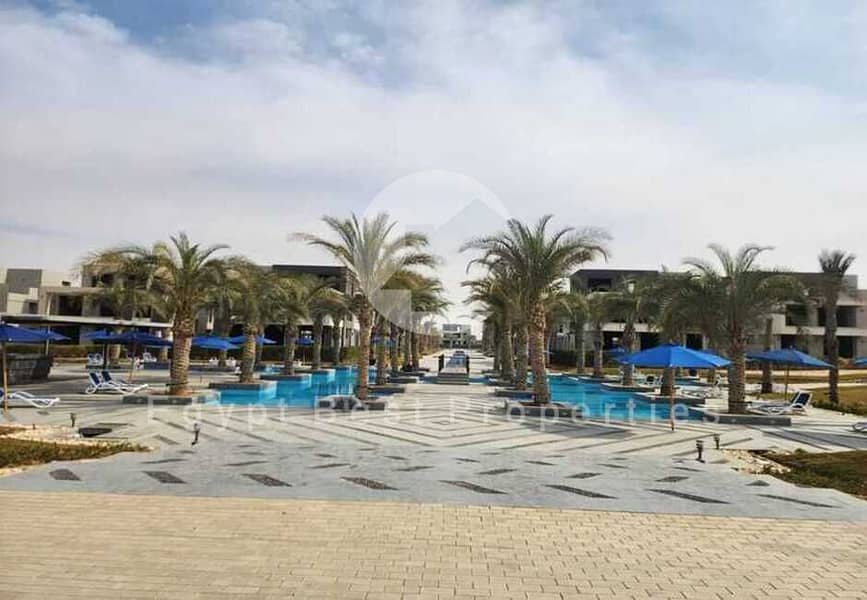 12 e5586df5-b561-4270-83be-9b1c79d1a974. jpg