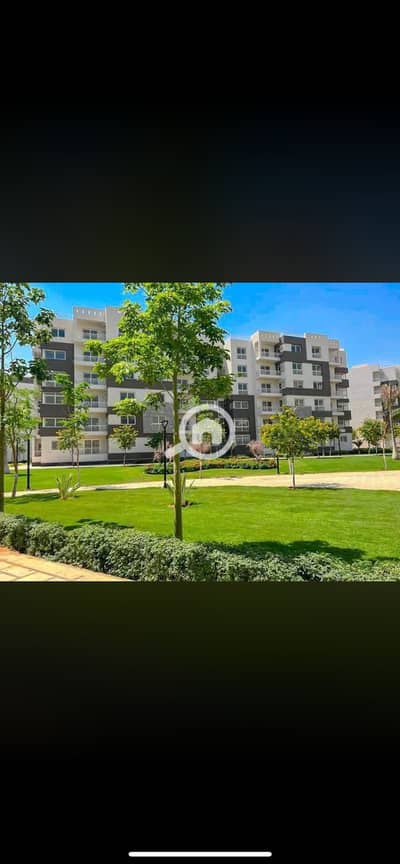 3 Bedroom Flat for Rent in Madinaty, Cairo - IMG_7792. png