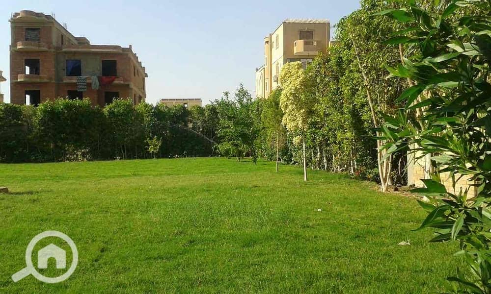 3 bfd9c9dc-d8dc-4b0a-82f2-bf8818a1d2cb. jpg