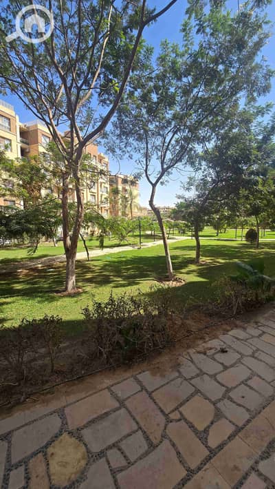 شقة 3 غرف نوم للايجار في مدينتي، القاهرة - 1000528230. jpg شقة 3 غرف نوم للايجار في مدينتي، القاهرة - 1000528230. jpg