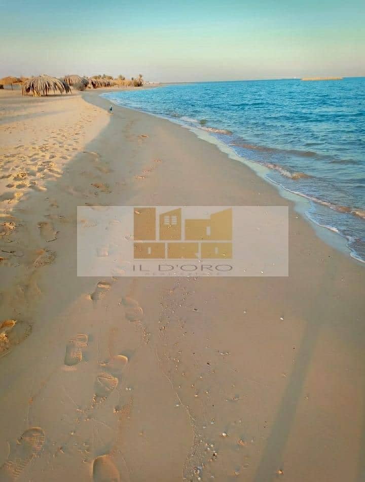 3 WhatsApp Image 2024-07-18 at 17.21. 33. jpeg