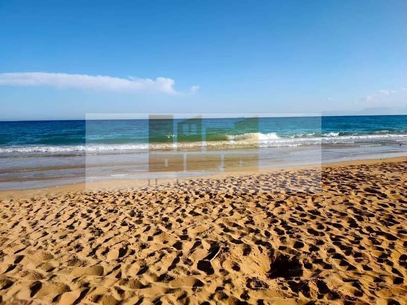 4 WhatsApp Image 2024-07-18 at 17.21. 34 (1). jpeg