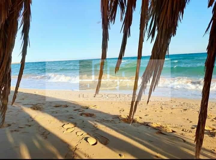 6 WhatsApp Image 2024-07-18 at 17.21. 34 (3). jpeg