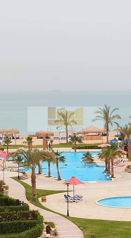 7 WhatsApp Image 2024-07-18 at 17.21. 34 (4). jpeg