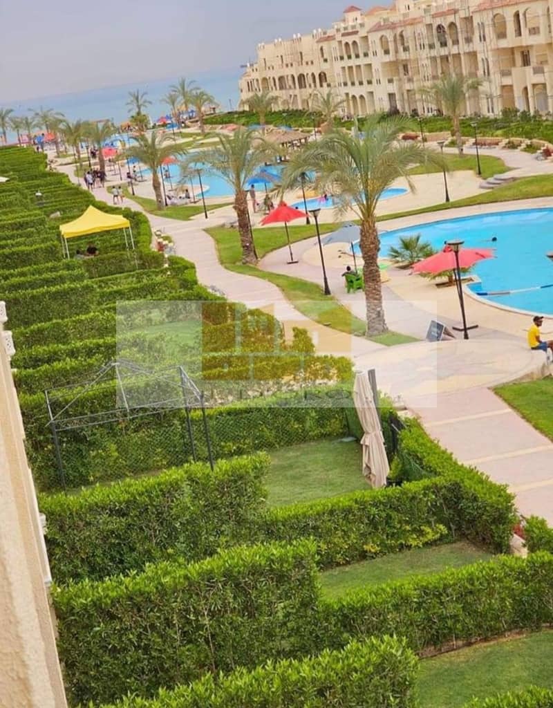 8 WhatsApp Image 2024-07-18 at 17.21. 34 (5). jpeg