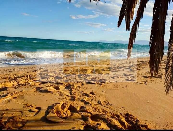 10 WhatsApp Image 2024-07-18 at 17.21. 34. jpeg