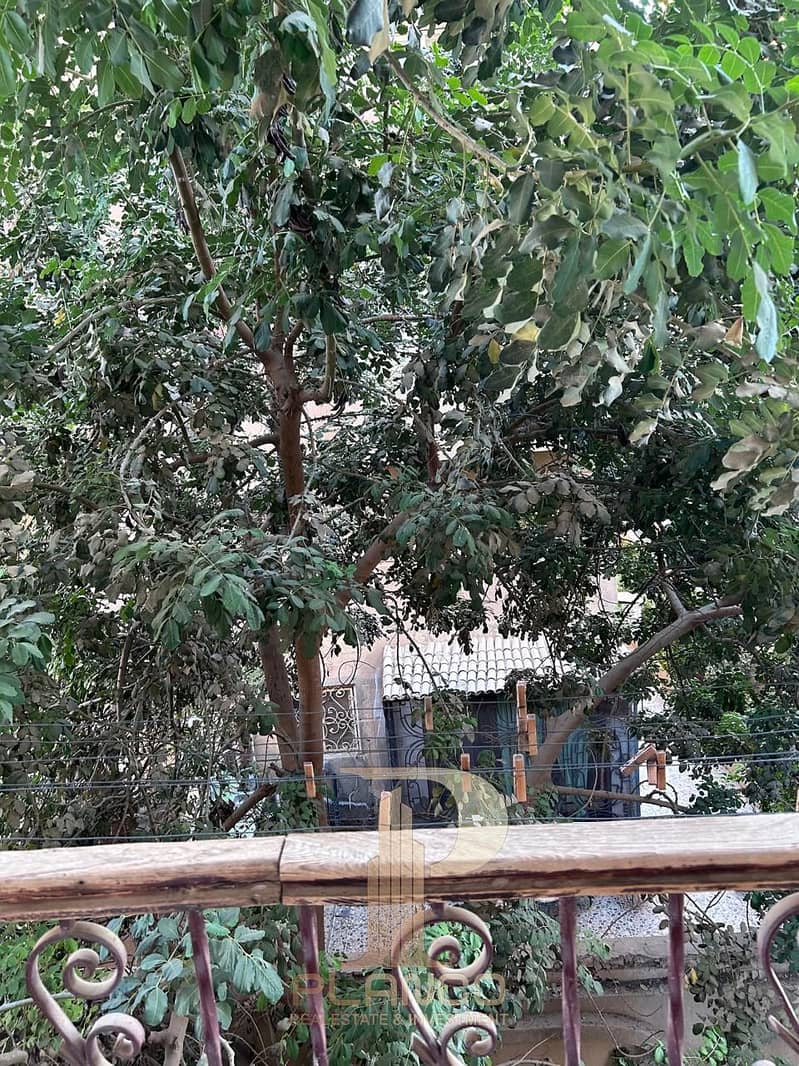 14 c6b24bdb-b2da-4afb-8b2d-9adbe3b9521b. jpeg