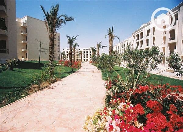 Biga2c386a9-aec2-47bd-8f20-b6773b9da7aa. jpg Biga2c386a9-aec2-47bd-8f20-b6773b9da7aa. jpg