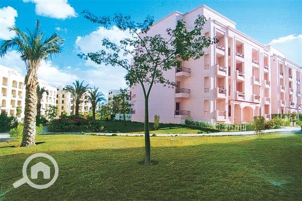 2 Biga65a1b57-ca31-4bed-a2a2-e2d2c16a3edd. jpg