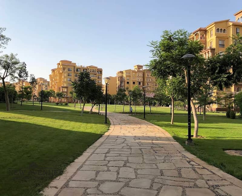 10 WhatsApp Image 2025-10-29 at 10.48. 00 AM. jpeg