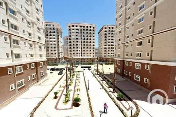 2 43b29e1c-1fcb-4dfc-8b71-1dcc34c56ec9. jpeg