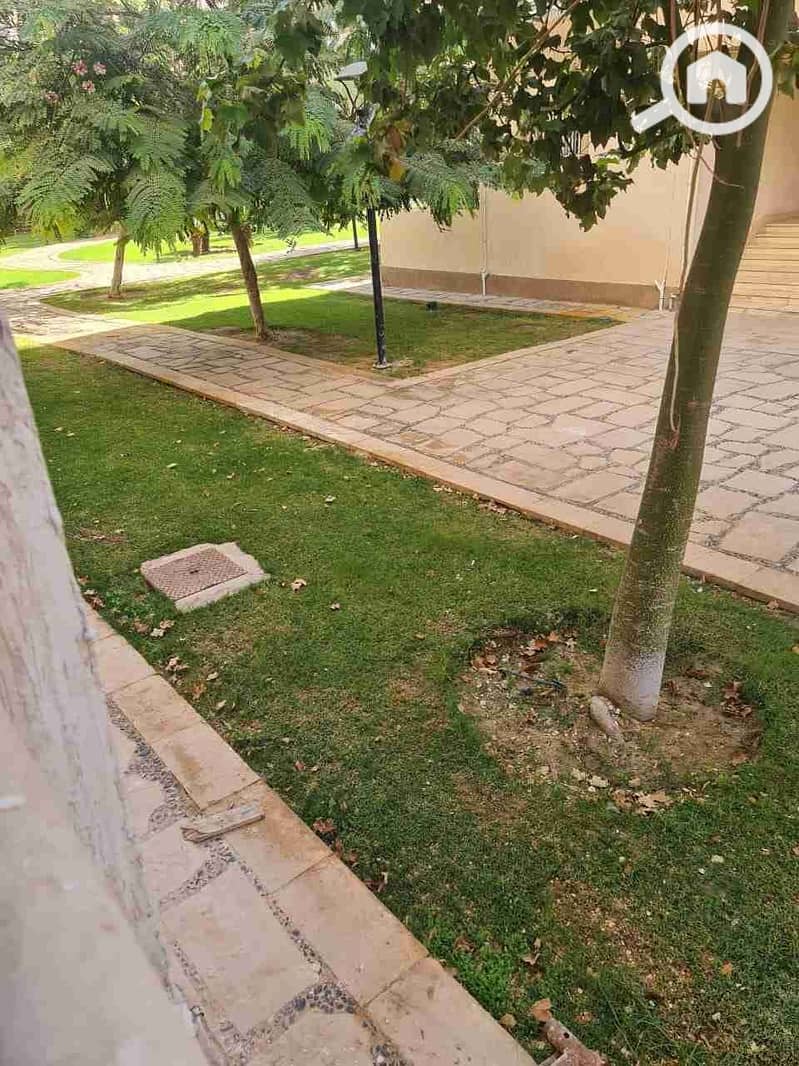 1000537074. jpg 1000537074. jpg