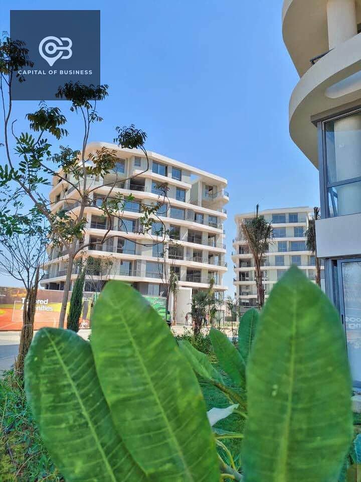 7 558690144_122145648380866488_815382884109286585_n. jpg