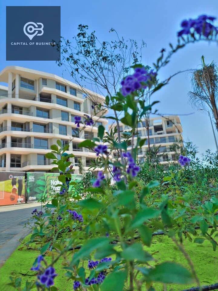 12 564219898_122145648482866488_1022998760830769760_n. jpg