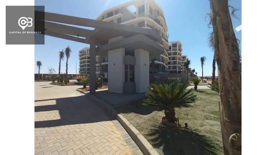 13 571338643_771069009266492_9048281119671467367_n. jpg