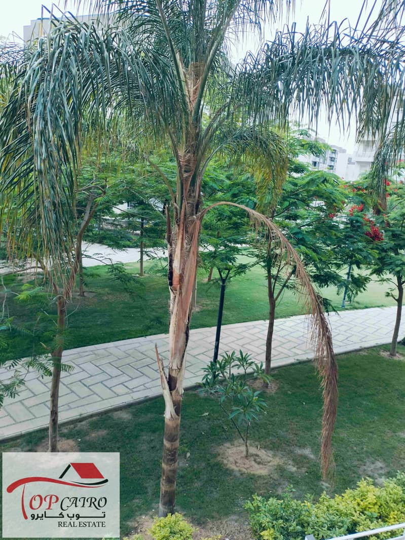 IMG20250531183726. jpg IMG20250531183726. jpg