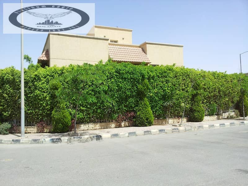 9 cda1a5bc-1564-468d-8f6a-7386c46722bd. jpg