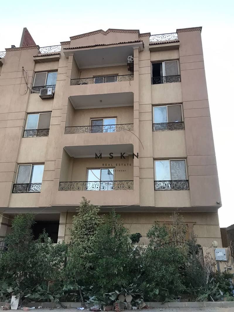 4 IMG_5EB69B833A12-1. jpeg