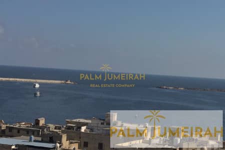 3 Bedroom Apartment for Sale in Manshiyya, Alexandria - - (2). png 3 Bedroom Apartment for Sale in Manshiyya, Alexandria - - (2). png