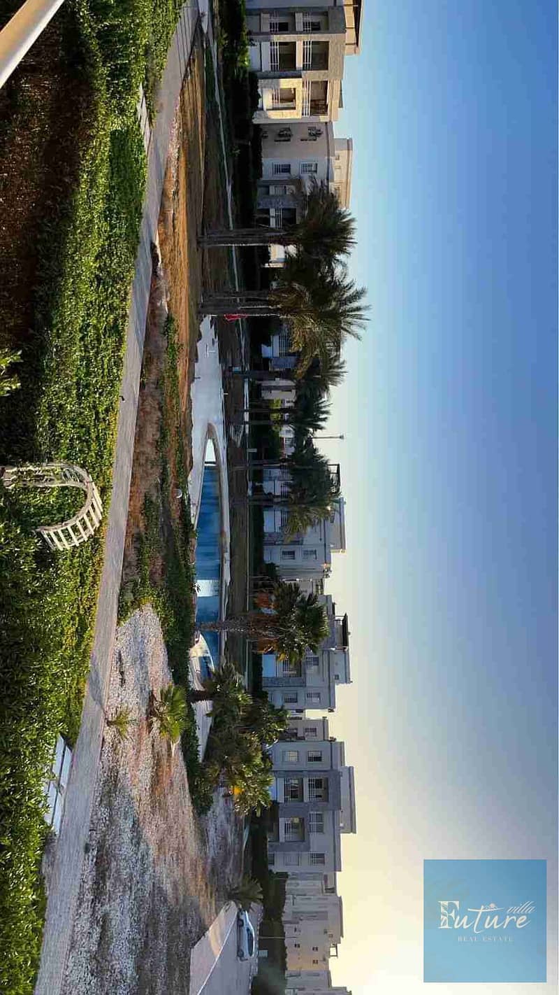 1000546393. jpg 1000546393. jpg