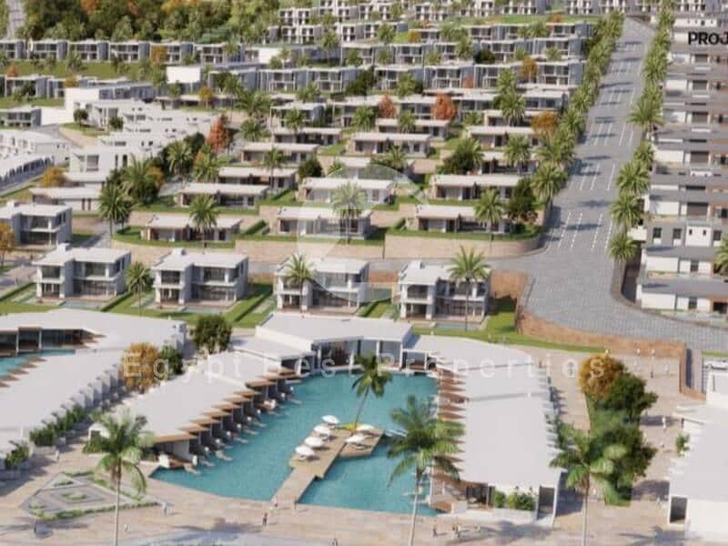 13 dirctionwhate (4). jpeg