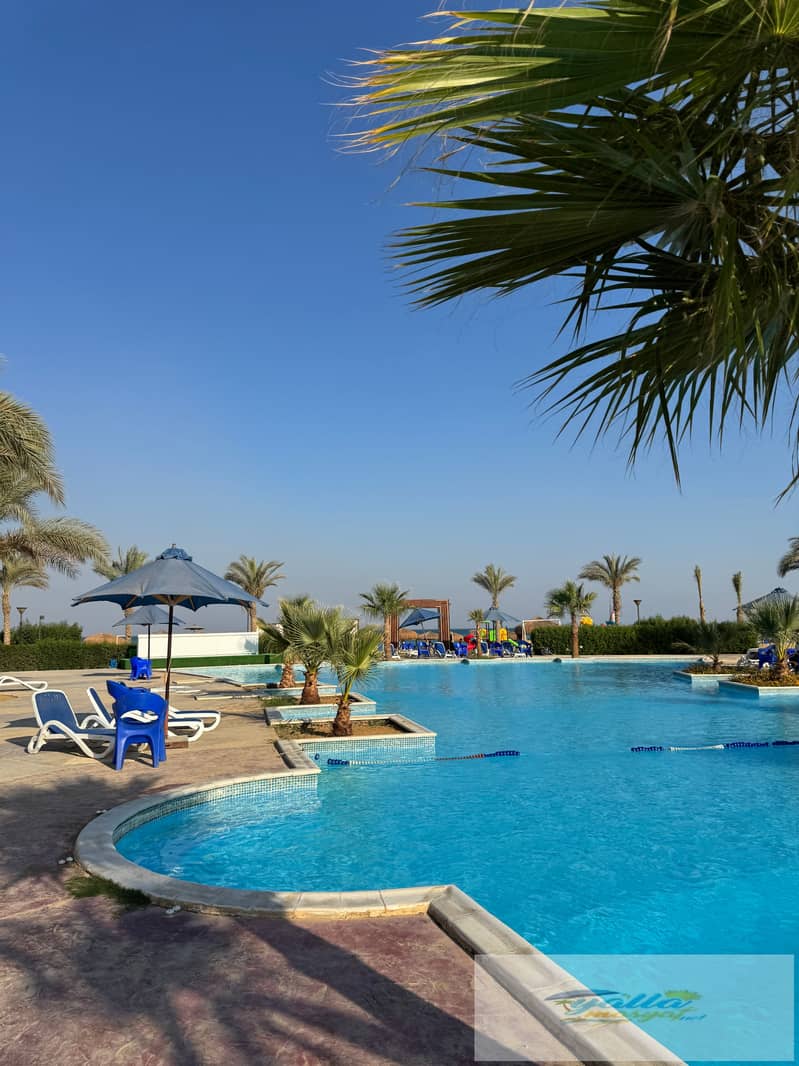 4 tempImageQnz0wc. jpg